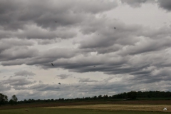 Journee_club-08_05_14-54