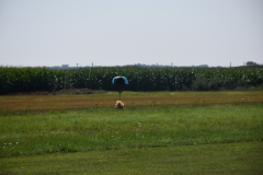 journee_parachutage_de_doudou-24_juillet_2018-06