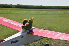 journee_parachutage_de_doudou-24_juillet_2018-24