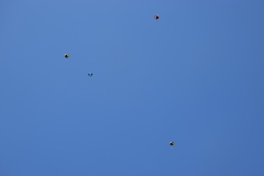 journee_parachutage_de_doudou-24_juillet_2018-49