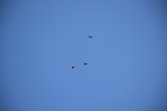 journee_parachutage_de_doudou-24_juillet_2018-53